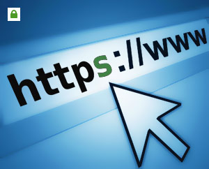 Maak je website veilig voor slechts 15 euro*